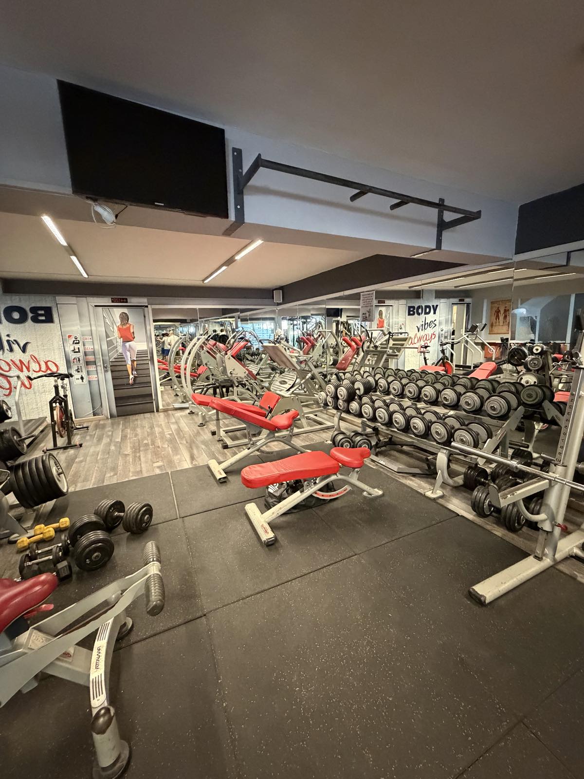 Bodyvibes Gym Chios - Ζώνη Δύναμης